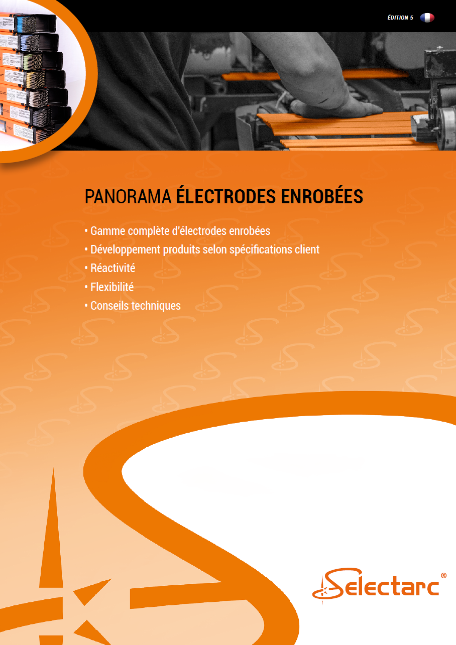 PANORAMA Electrodes FR